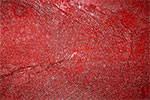 Image 2-9