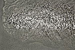 Image 3-12