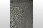 Image 3-2