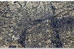 Image 4-9